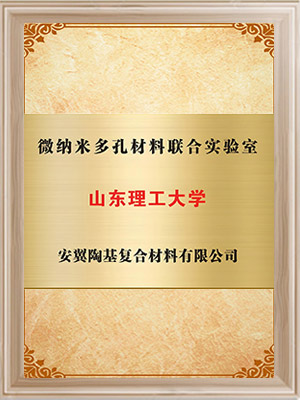 山東理工大學(xué)-微納米多孔材料聯(lián)合實驗室