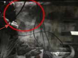 無鼠蟲害防護(hù)